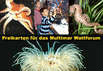 Freikarten für das Multimar Wattforum gewinnen (Fotos: Multimar Wattforum)
