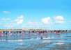 Nordic Walking im Wattenmeer