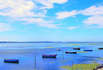 Skive nordsee daenemark limfjord
