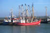Kutter im Hafen von List (Foto: Jürgen Lenzner/pixelio.de)