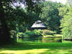 Schlosspark Lütetsburg (Foto: pixelio.de)