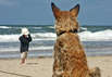 Familienurlaub (Foto: pixelio.de)