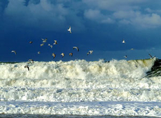 Sturmfluten an der Nordsee