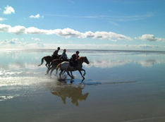 Wattenmeer Nordsee