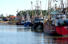 Kutter im Hafen von Büsum (Foto: pixelio.de)