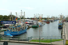 Kutterregatta im Nordseeheilbad Friedrichskoog (Foto: pixelio.de)