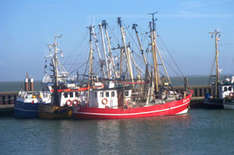Kutter im Hafen von List (Foto: Jürgen Lenzner/pixelio.de)