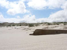 Dünenlandschaft auf Baltrum (Foto: G. Schemainsky/pixelio.de)