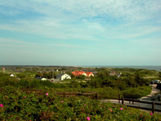Blick über Blåvandshuk in Dänemark an der Nordsee