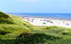 Strand bei Blåvand nordsee südjütland dänemark