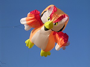 Auf Drachenfesten können Nordsee-Urlauber die unterschiedlichsten Drachen-Modelle kennen lernen