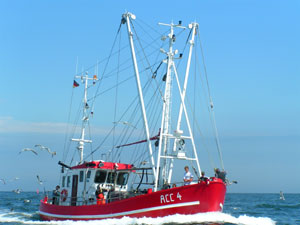 Mit dem Krabbenkutter geht die Ausflugsfahrt hinaus auf die Nordsee zum Krabbenfang