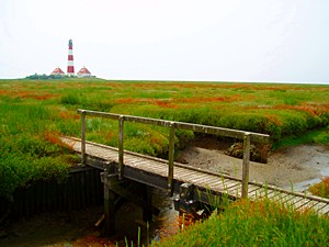 Der unter Denkmalschutz stehende Stockstieg führt durch die Salzwiesen zum Leuchtturm Westerheversand
