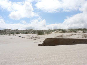 baltrum jpg