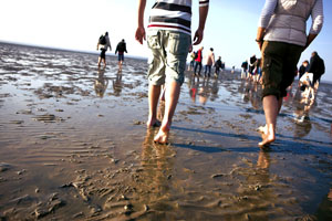 Wattwandern mit Sunpark Nordsee in Tossens