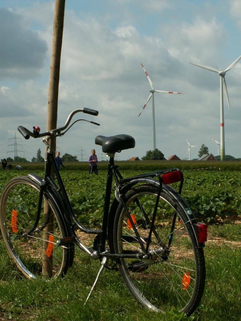 Fahrrad vor Windrädern an der Nordseeküste