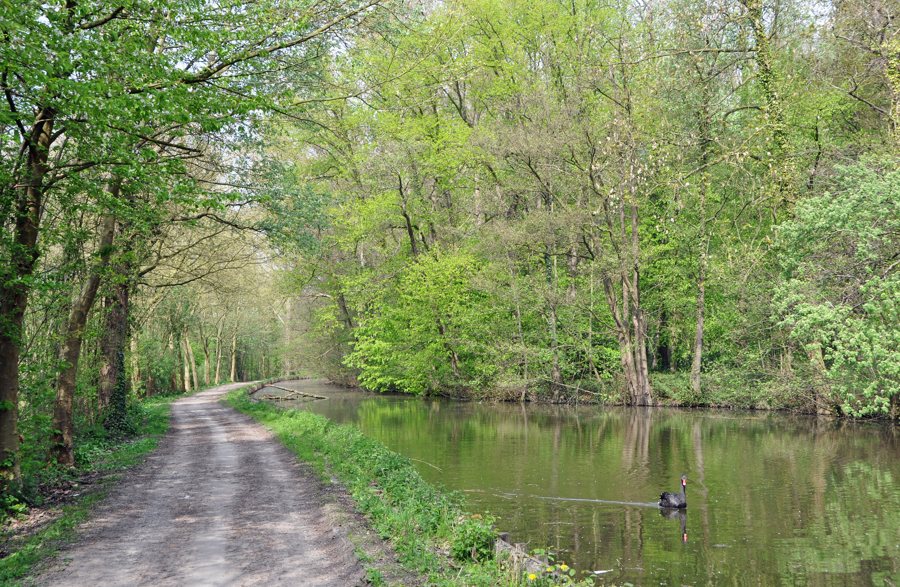 File:Gavere Vijver R01.jpg