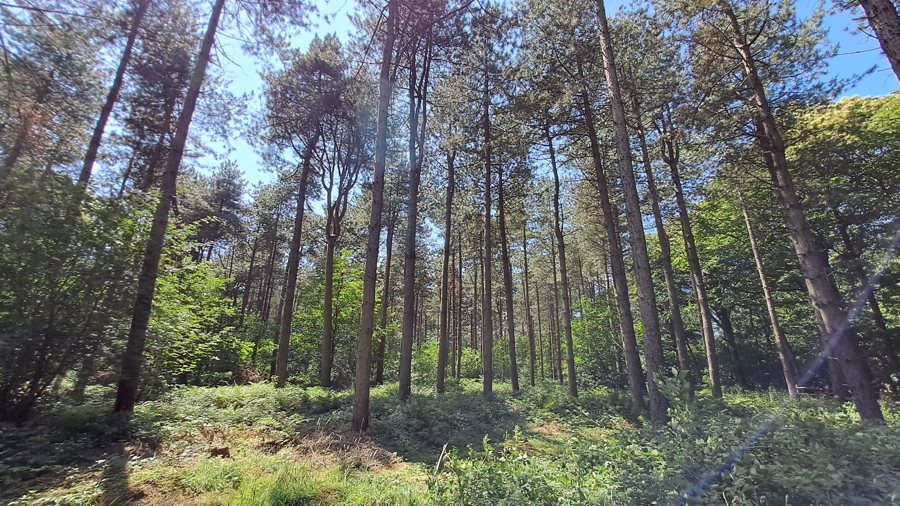 File:Koekelare den HW.jpg