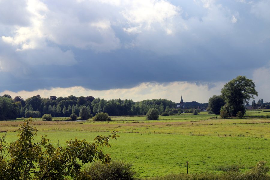 File:Sint-Martens-Latem-Nature-Summer-2014.JPG