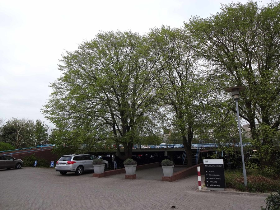 File:2211 Noordwijkerhout, Netherlands - panoramio (10).jpg