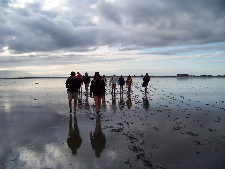 Wattflächen im Nationalpark Wattenmeer zwischen Harlesiel und Spiekeroog.