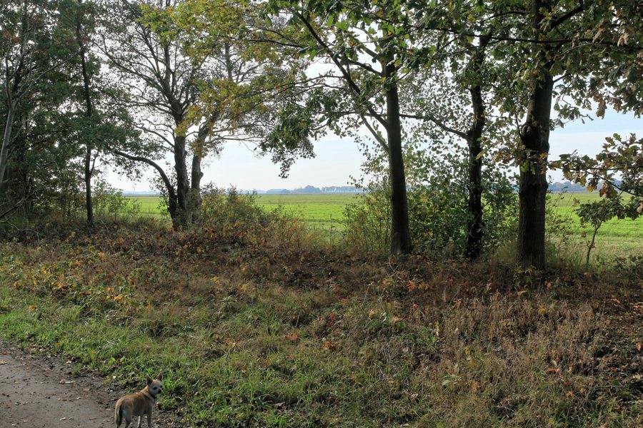 File:Rhede - Grenzweg + NL-Vlagtwedde 01 ies.jpg