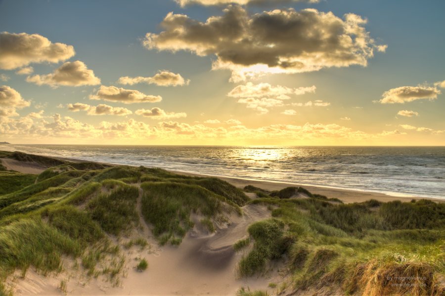 Dünen und Strand an der dänischen Nordseeküste.