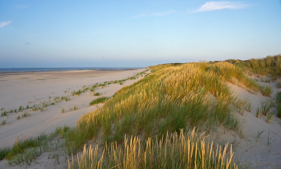 File:Strand und Dünen im Nordosten von Wangerooge 2.jpg