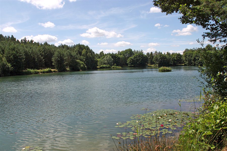 File:Vierhöfen, Kiessee.JPG