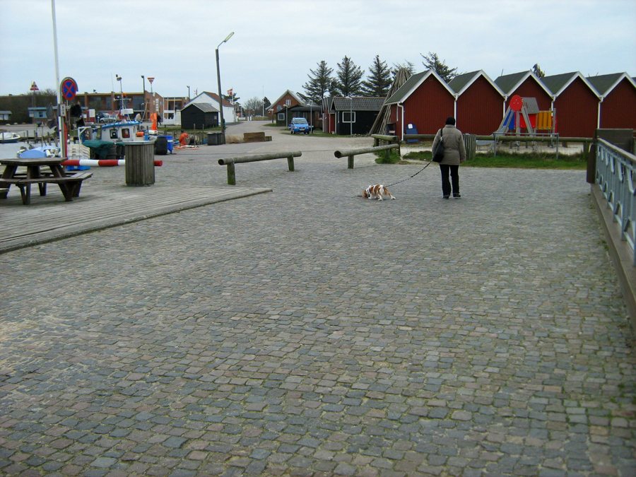 File:Bork Havn, 6893 Ringkøbing-Skjern, Denmark - panoramio (1).jpg