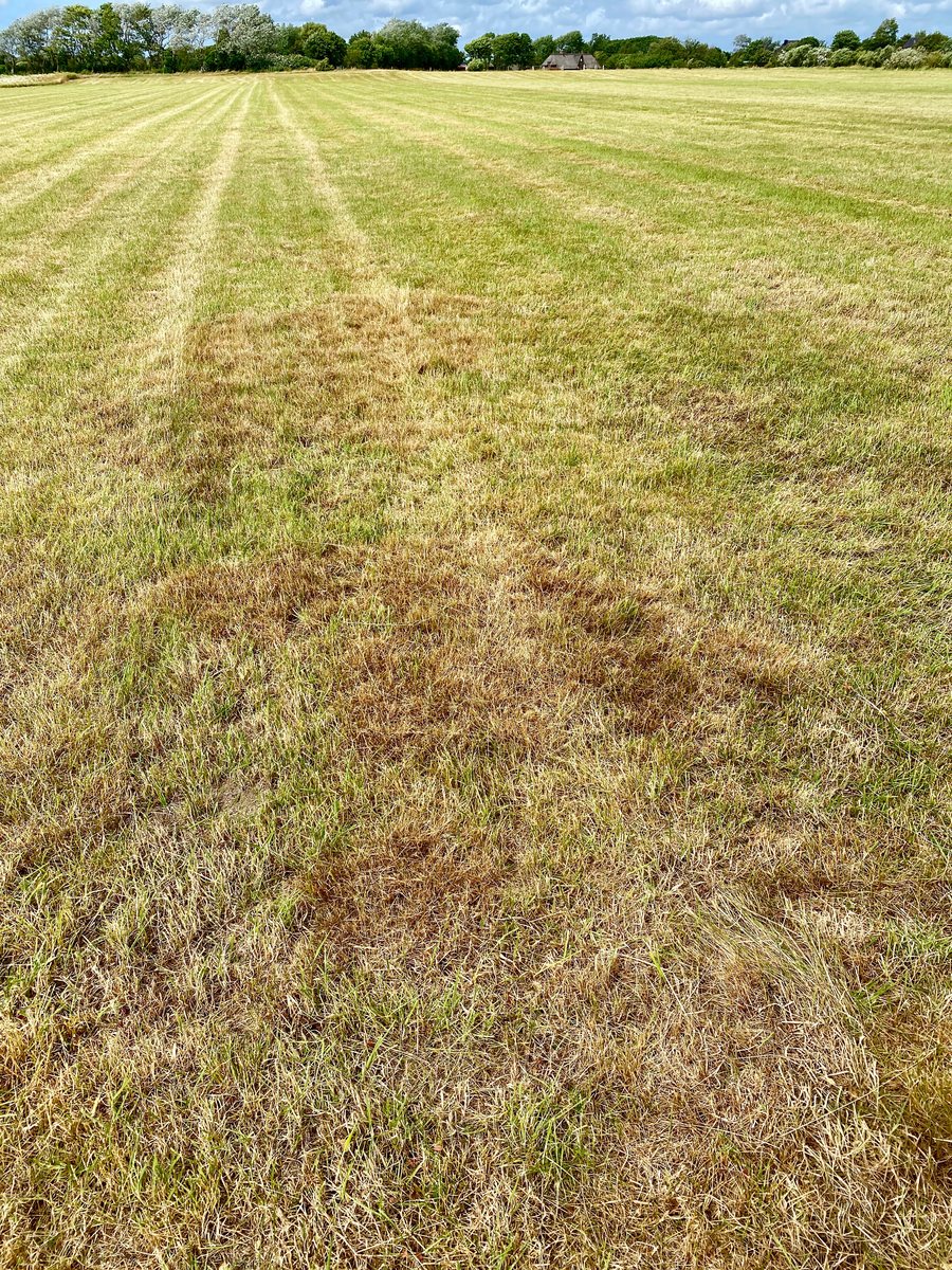 File:Großsteingräber bei Morsum.jpg