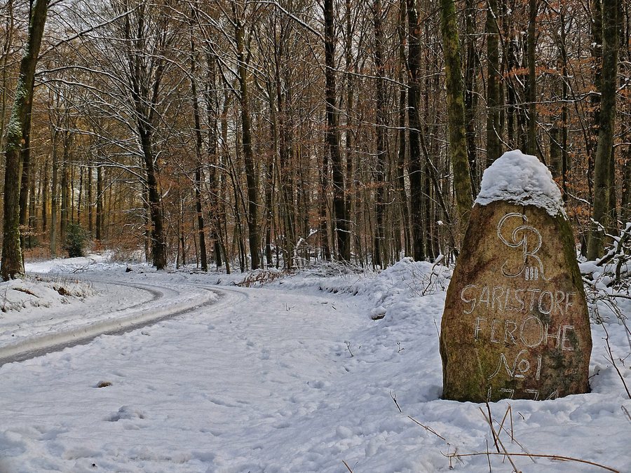 File:Historischer Grenzstein im Garlstorfer Wald, Gemeinde Garlstorf, Landkreis Harburg, Niedersachsen.jpg
