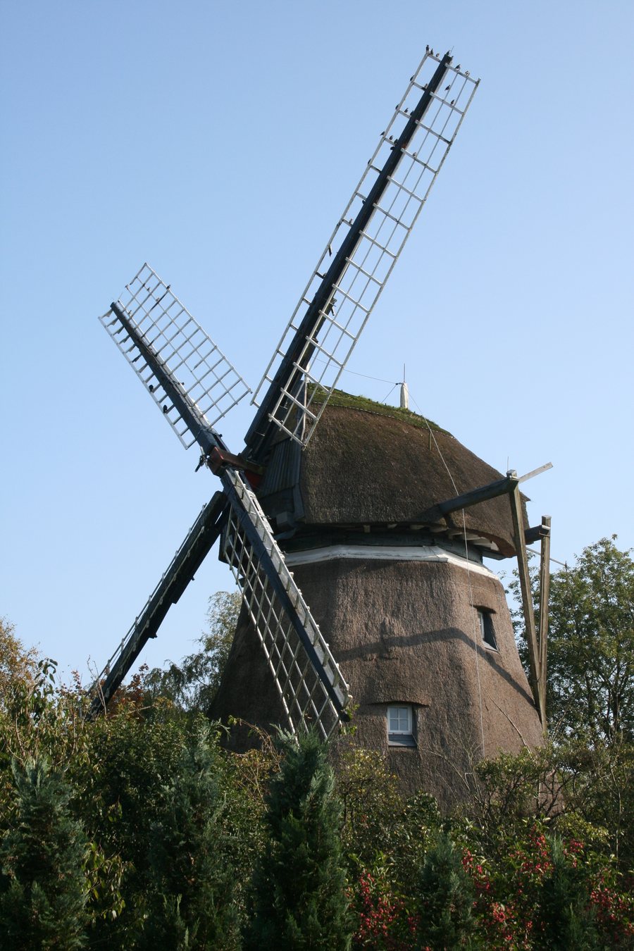 File:Windmuehle Joldelund.jpg
