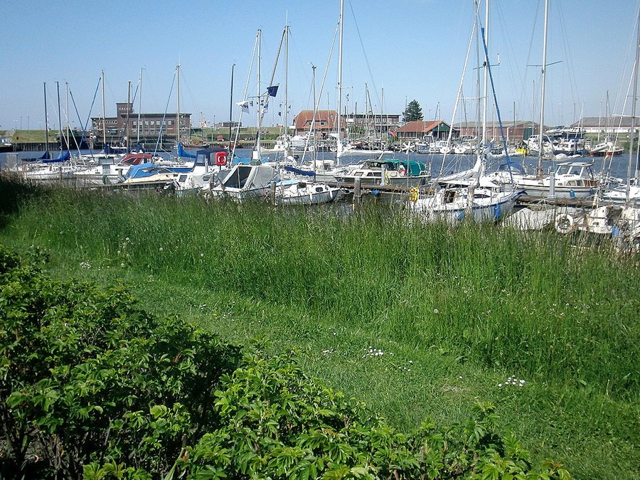 File:20130606.Harlesiel.-011.jpg