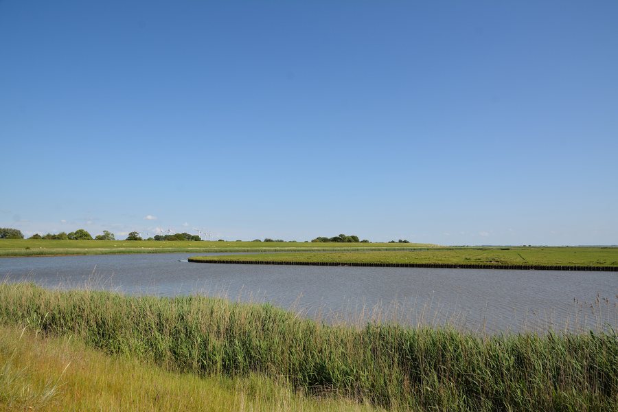 File:Dithmarschen, Neufeld, Hafen NIK 7168.jpg