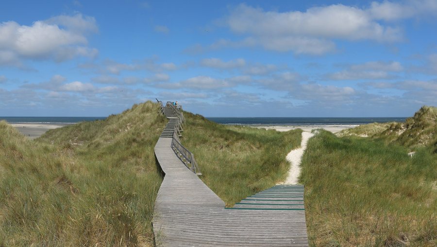 File:Dünenweg bei Norddorf auf Amrum.jpg