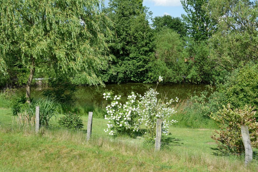 File:Schleswig-Holstein, Kollmar, Brack NIK 6279.JPG
