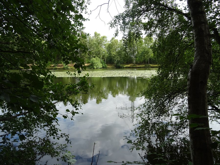 File:Teufelssee, Bönningstedt, Kreis Pinneberg.jpg