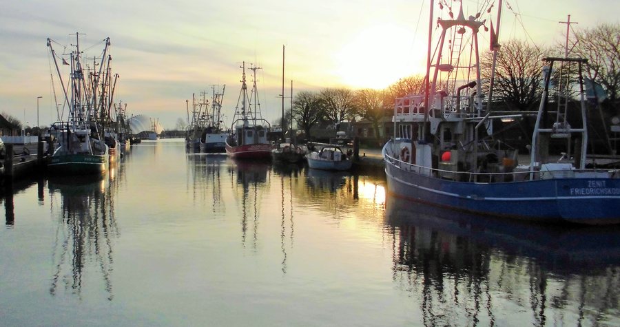 File:Friedrichskoog (Dithmarschen), Krabbenkutter im Hafen Friedrichskoog (2014).jpg