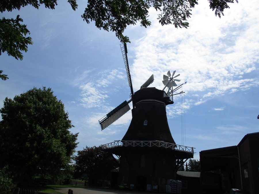 File:Geestland Lintig 2.jpg