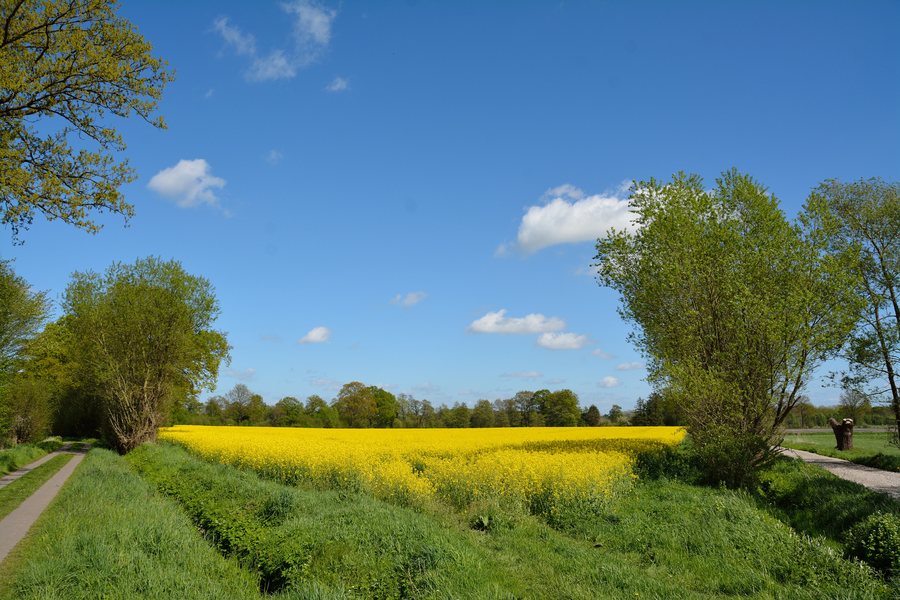 File:Schleswig-Holstein, Borstel-Hohenraden, LSG des Kreises Pinneberg NIK 3368.JPG