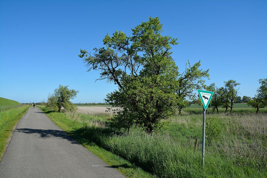 File:Schleswig-Holstein, Moorrege, Deichweg NIK 3398.JPG