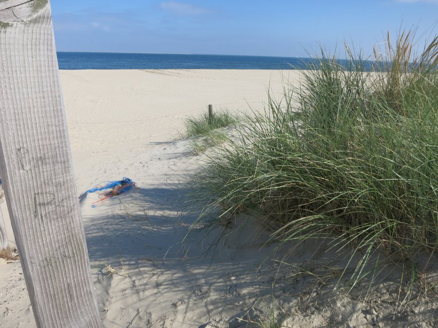 Sandstrand und Dünen mit Strandhütte auf Texel – Symbolmotiv für Wanderwege auf Amrum