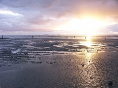 Wattwanderung in der Vorsaison in Cuxhaven