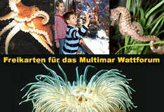 Freikarten für das Multimar Wattforum gewinnen (Fotos: Multimar Wattforum)