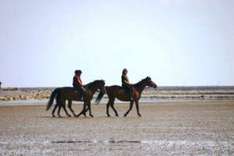 Reiten im Wattenmeer (Foto Kur- und Tourismusservice Pellworm)