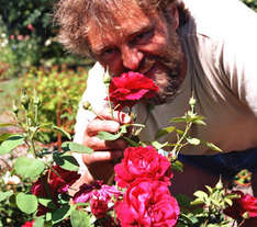 Sven Jacobsen in seinem Rosengarten (Foto: TASH/Maike Nicolai)