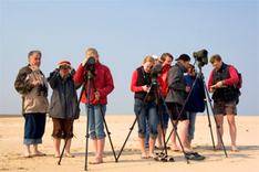 Führungen Nationalpark Wattenmeer