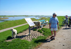 Infotafeln Wattenmeer