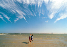 Nordsee-Urlaub im Nationalpark Niedersächsisches Wattenmeer